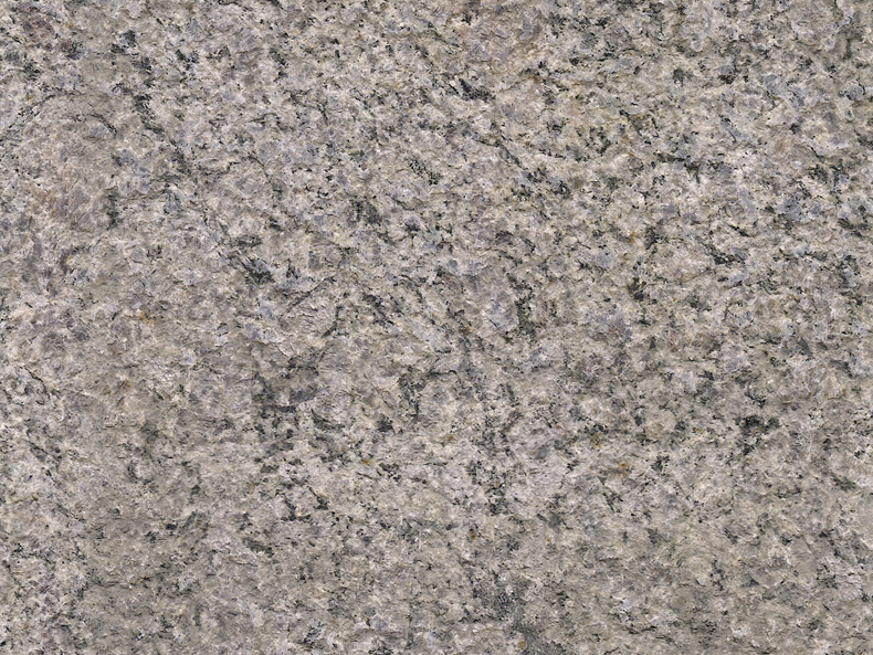 Caledonia Bush hammered